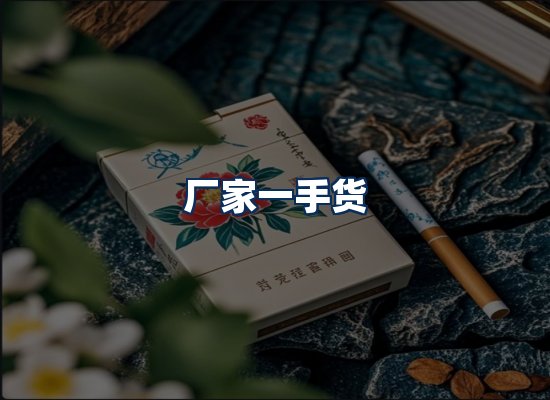 专业团队办公环境